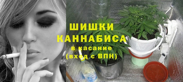 молекула духа Сосновка