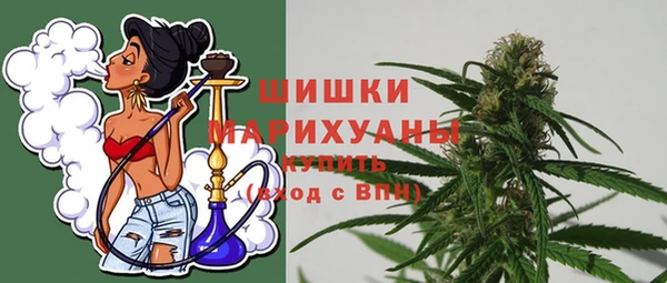 молекула духа Сосновка