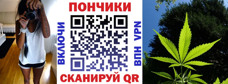 Купить где  Павловск  Шишки марихуана OG Kush 